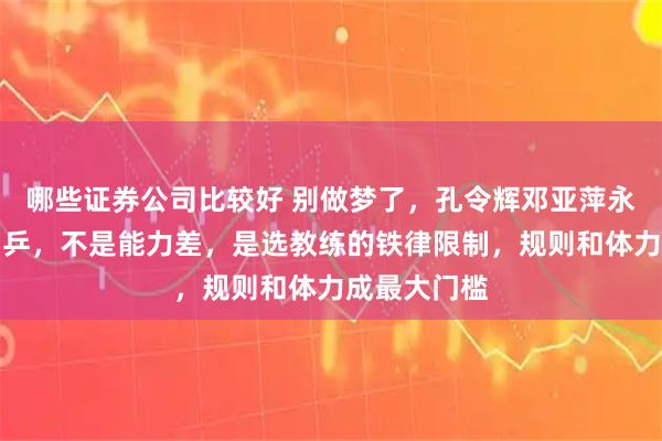 哪些证券公司比较好 别做梦了，孔令辉邓亚萍永远回不来国乒，不是能力差，是选教练的铁律限制，规则和体力成最大门槛